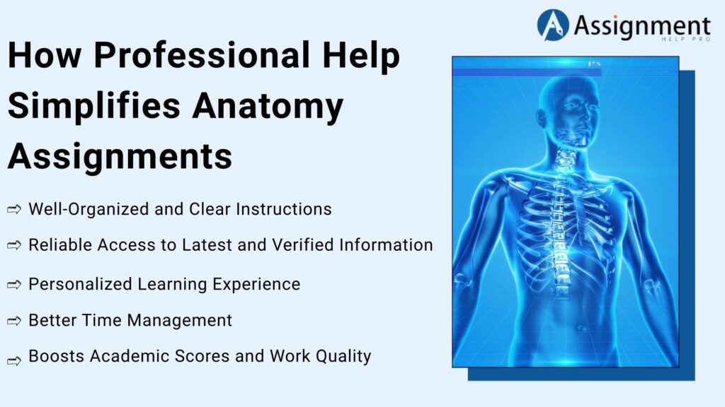 How Professional Help Simplifies Anatomy Assignments