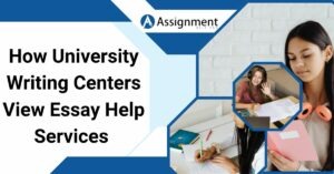 How University Writing Centers View Essay Help Services