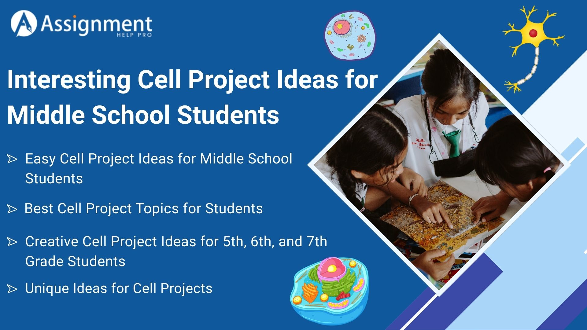 Interesting Cell Project Ideas for Middle School Students