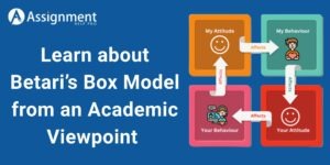 Learn about Betari’s Box Model from an Academic Viewpoint