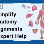Simplify Anatomy Assignments with Expert Help