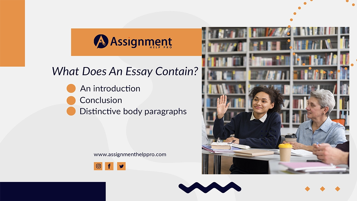 What Does An Essay Contain