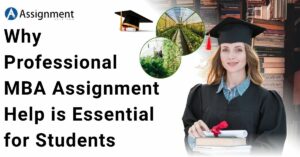 Why Professional MBA Assignment Help is Essential for Students