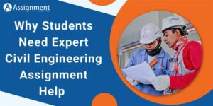 Why Students Need Expert Civil Engineering Assignment Help